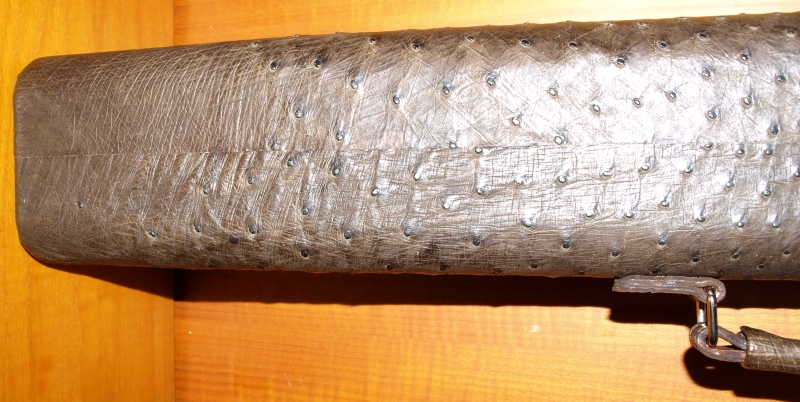 P6100167.JPG